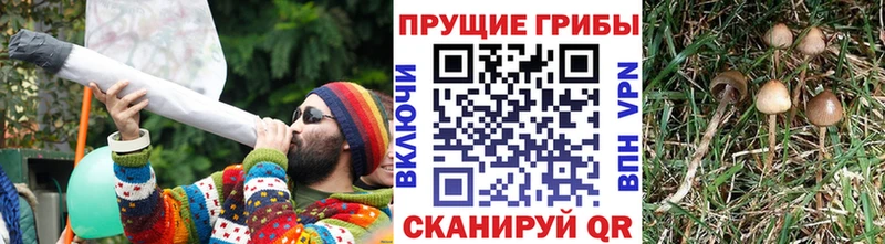 Галлюциногенные грибы ЛСД  наркота  Калязин 